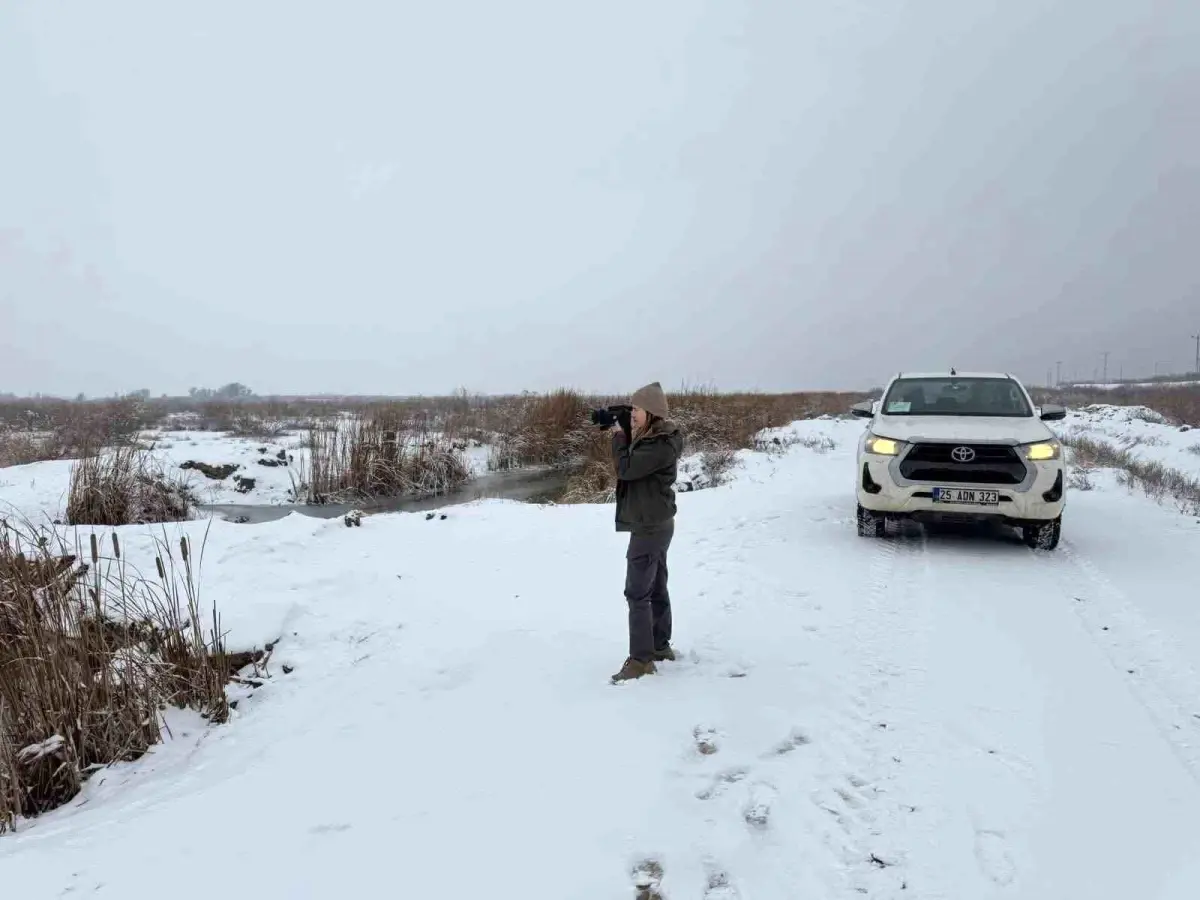 İğdır’da Belgesiz Avcılığa Yönelik İdari Yaptırım Uygulandı
