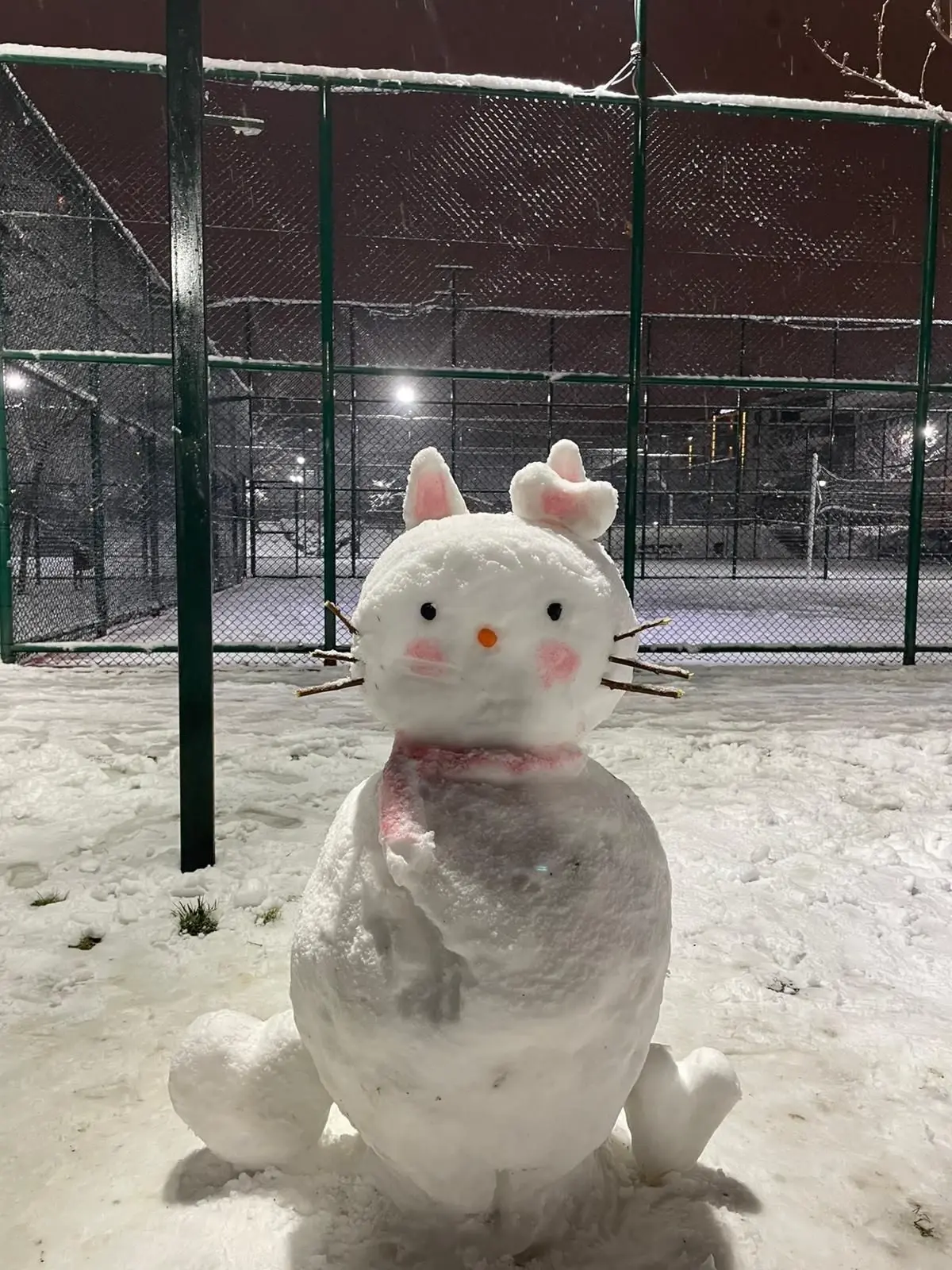 Ankara’nın Yüksek Kesimlerinde Şiddetli Kar Yağışı Trafiği Felçledi