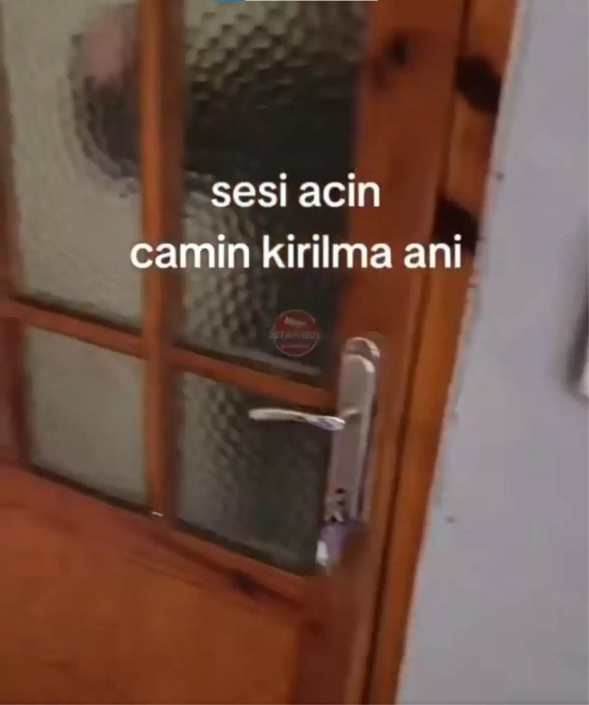 Kadın, Ev Arkadaşının İddialarına Tepki Vererek Cam Kırdı