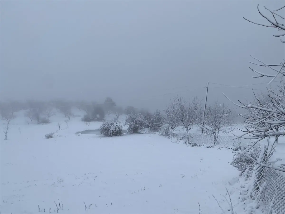 Çorum Oğuzlar’da Ceviz Bahçeleri 20 cm Karla Kaplandı