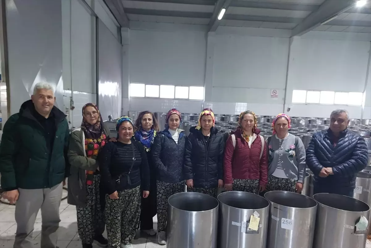 Edremit'te Kadın Kooperatifi Kuruldu: Yerel Üretime Yeni Bir Soluk