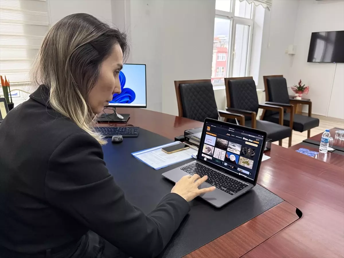 Gerze Kaymakamı Büyüker, AA Yılın Kareleri 2025 Seçiminde Fotoğrafları İnceledi