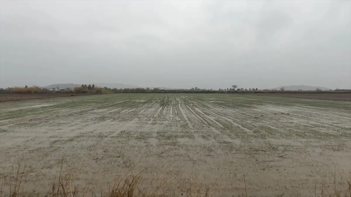 Osmaniye'de Şiddetli Yağışlar Tarım Arazilerini ve Sokakları Su Altına Çekti
