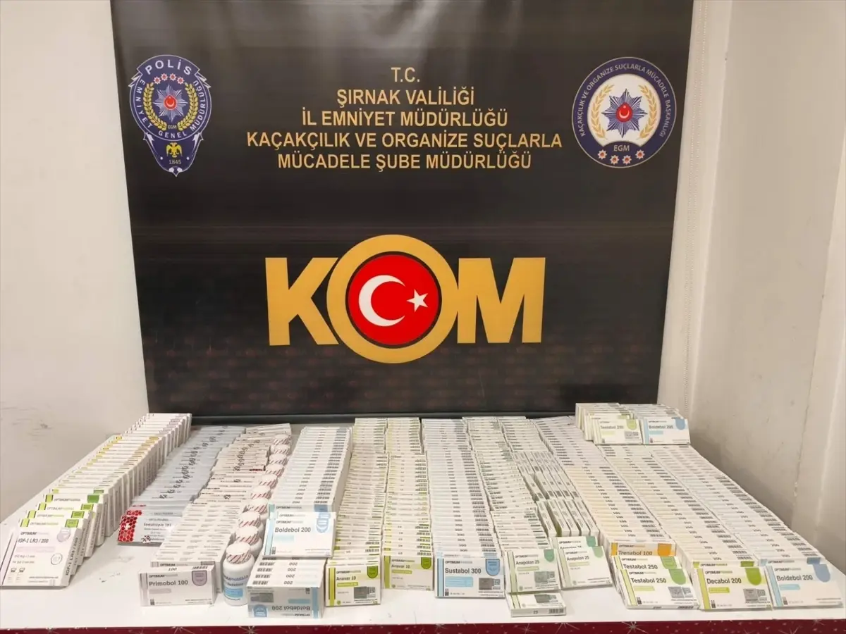 Şırnak'ta Kaçakçılık Operasyonu: 29 Gözaltı, 1 Tutuklama