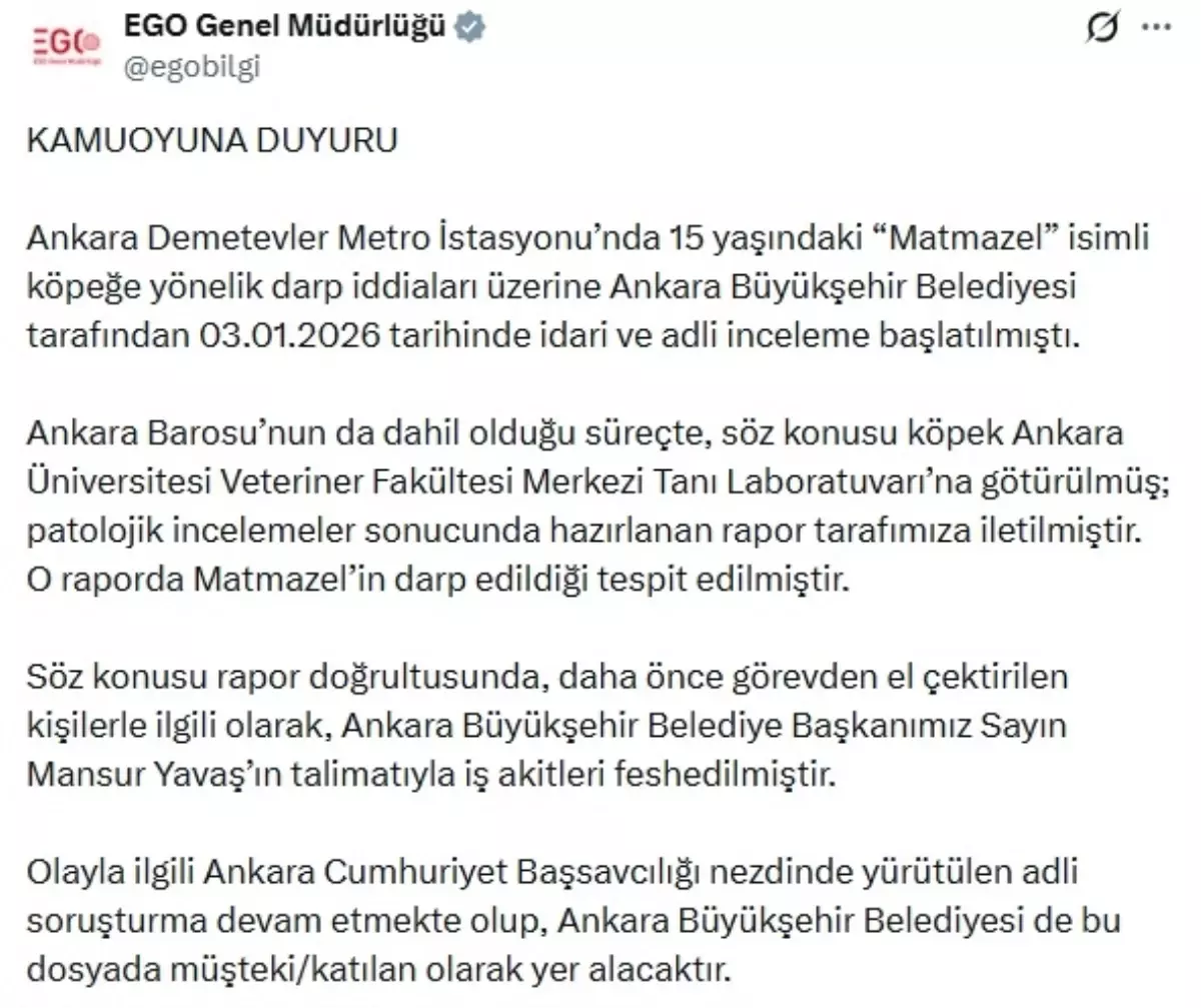 Ankara’da ‘Matmazel’ Köpeğinin Darbeye Maruz Kaldığı Ortaya Çıktı