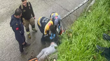 Kaza anındaki dere yatağı