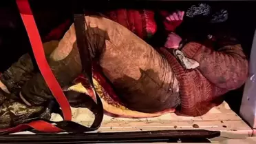 Göçmen kontrol noktası