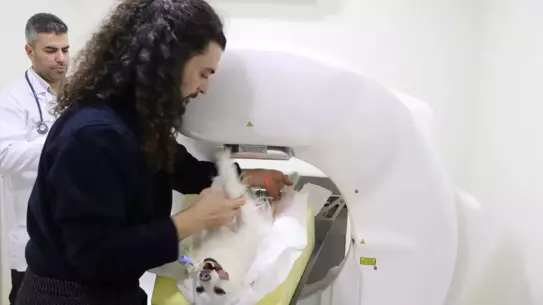 Hayvan hastanesinde modern veteriner ekipmanları