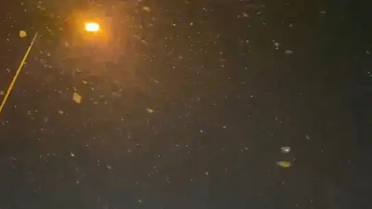 İstanbul’da kar yağışı fotoğrafı