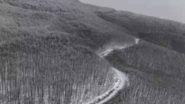 Kırklareli Istranca Ormanları Karla Kaplandı: Kışın Büyüleyici Görünümü