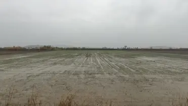 Osmaniye tarım arazilerinde su baskını