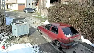 Çarpılan köpeğin yaralı hali