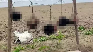 İpe asılı beş insan başı yakın çekim