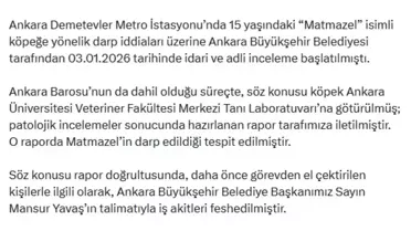 Matmazel köpeğinin darbe sonrası görüntüsü