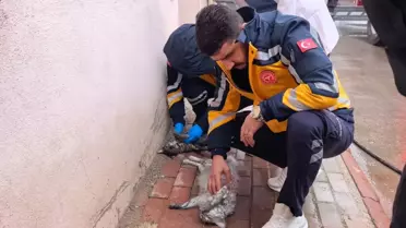 Kurtarılan kedi ve çocuk itfaiye aracında