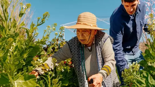 VILPA egzersiz örnekleri