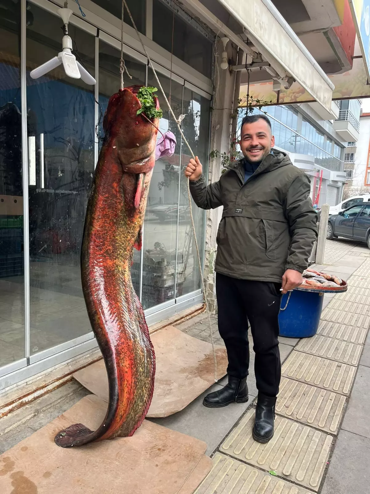 Nallıhan Çayırhan Gölü'nde 85 kg Dev Yayın Balığı Avlandı