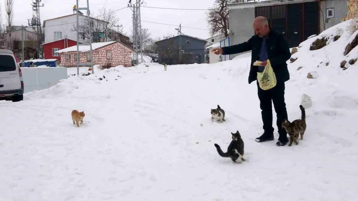 Kışın Yalnız Muhtar: Sarıkaya Köyünde Hayatta Kalma Mücadelesi