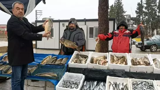 Fırat Nehri’nde yakalanan balıklar