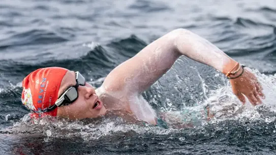 Buz yüzme etkinliği görseli