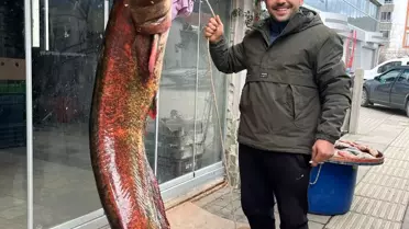 Çayırhan Gölü'nde yakalanan 85 kg yayın balığı