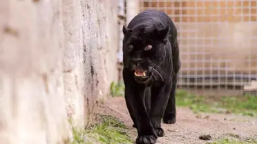 Juliet'in park içindeki fotoğrafı