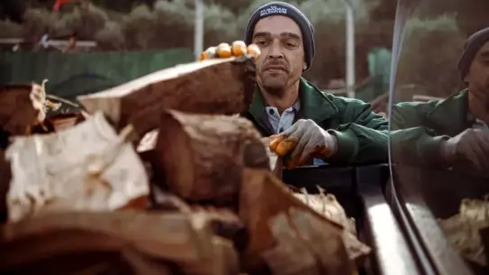 Budama sonrası elde edilen ağaç atıkları