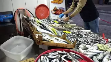 Denetim ekiplerinin sahada çalışması