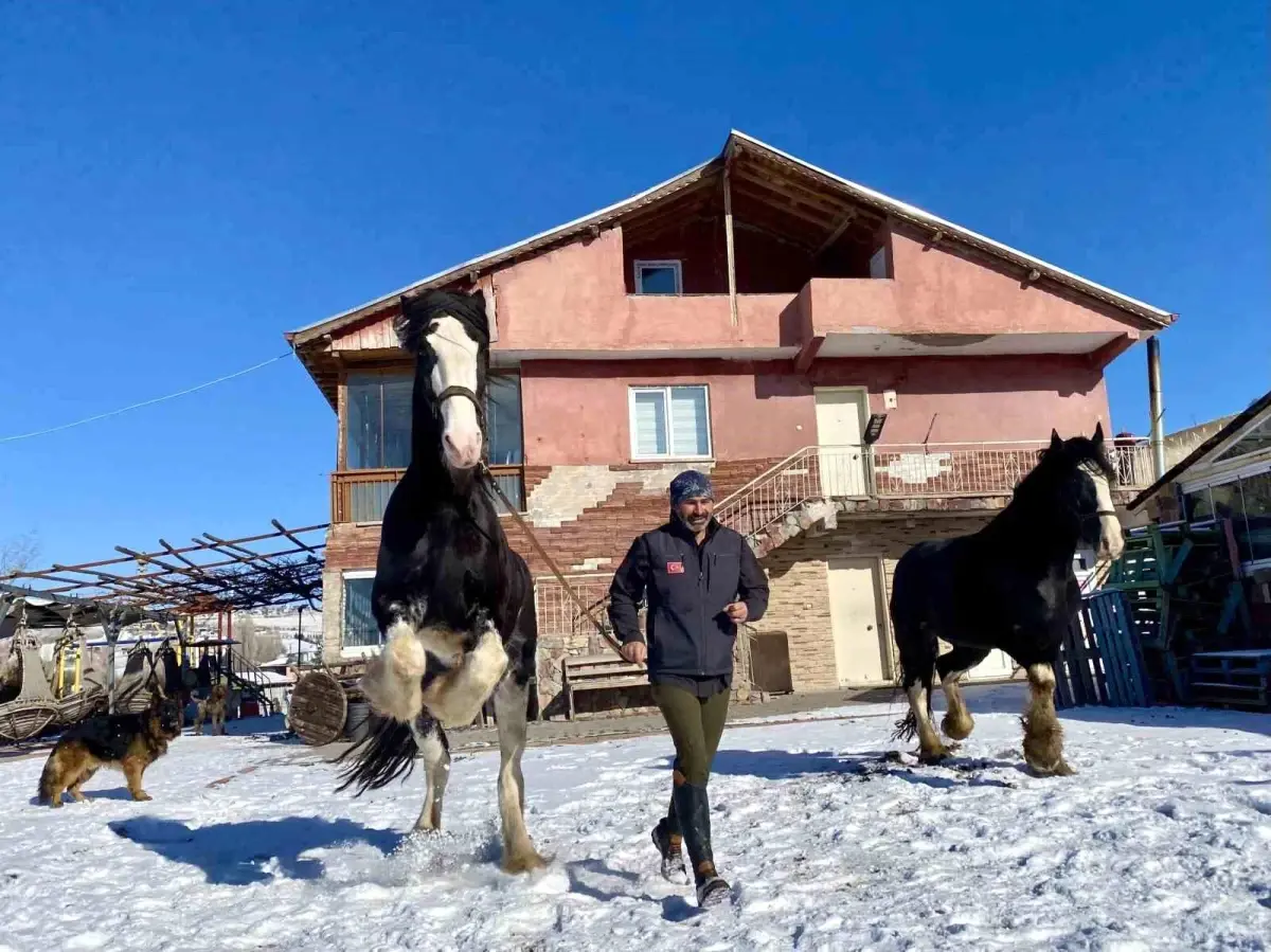 Ankara’da Doğayla İç İçe: Özgür Peştanlı’nın Sürdürülebilir Çiftlik Yaşamı
