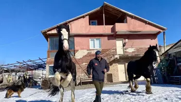 Çiftlikte organik sebze bahçesi