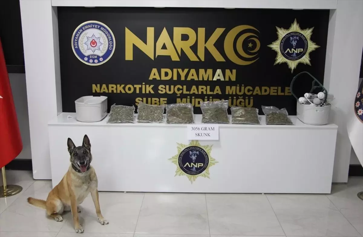Adıyaman'da Uyuşturucu Operasyonu: 3 Kg Skunk Ele Geçirildi, 1 Kişi Tutuklandı