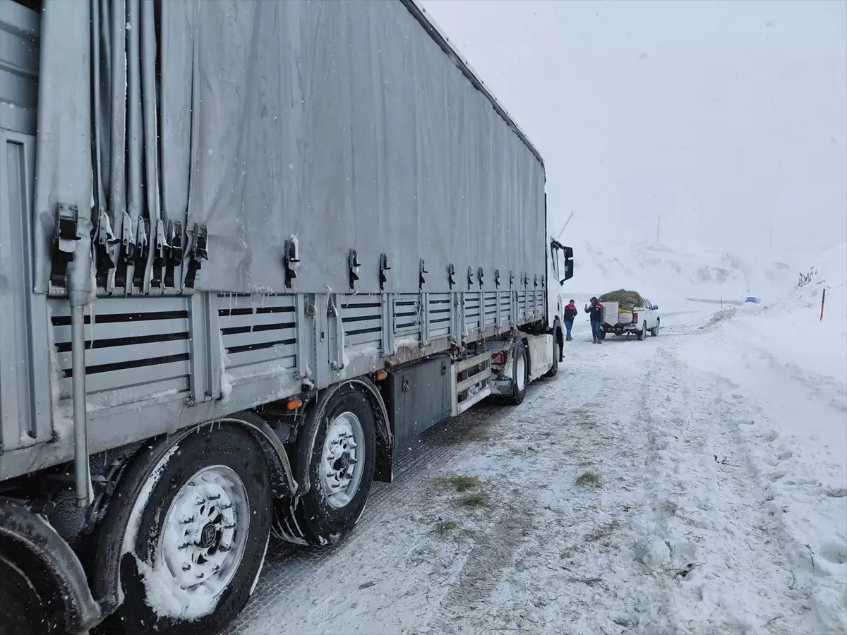 Erzurum'da Kar Fırtınası Nedeniyle Mahsur Kalan Büyükbaş Hayvanlar Kurtarıldı