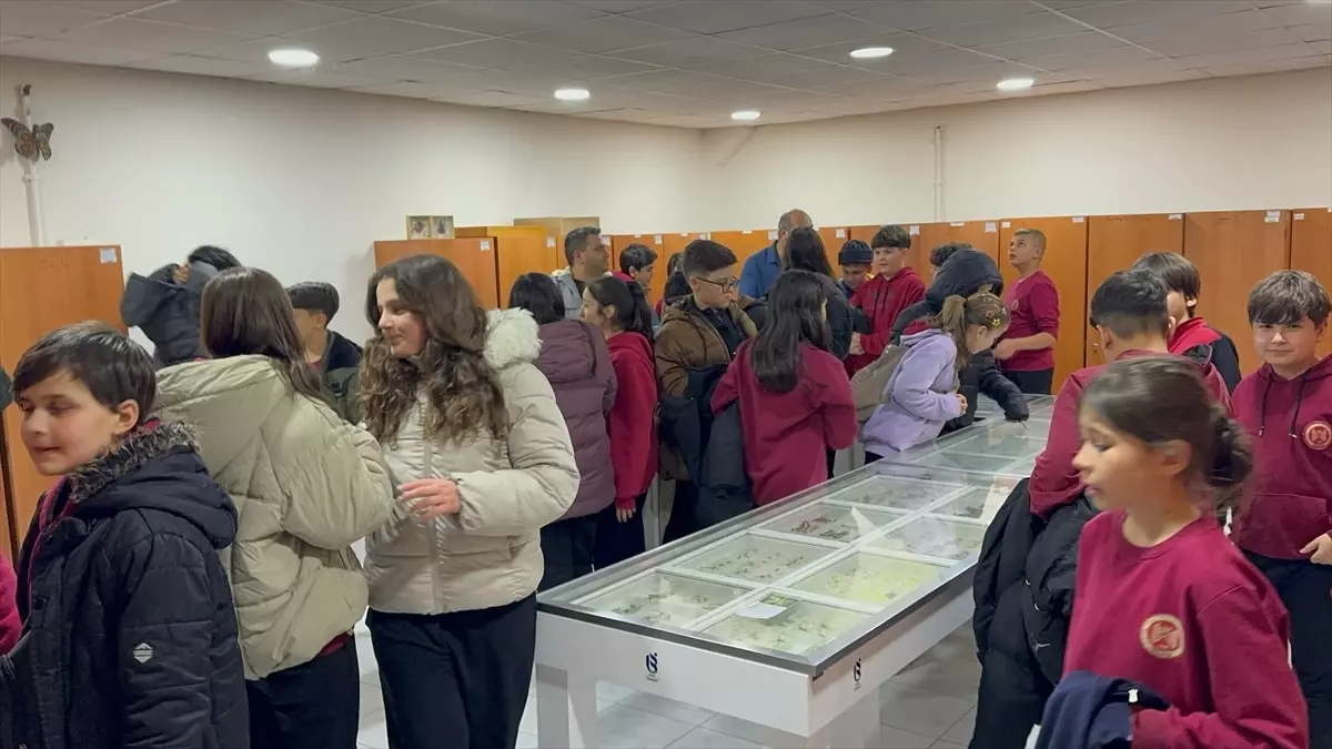 İsparta’daki Böcek Müzesi: Bilim ve Keşif Dolu Bir Deneyim