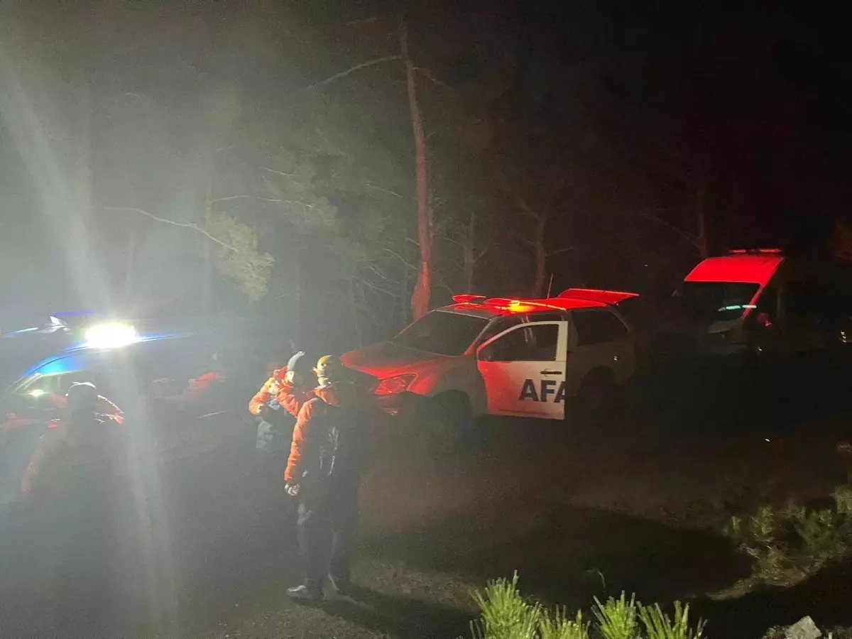 İzmir'de 67 Yaşındaki Safiye Aktürüm Ormanda Bulundu: 4 Saatte Kurtarıldı