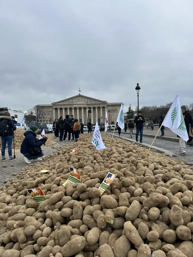 Protestodan bir kare