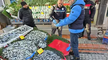 Gelibolu Tarihi Alanı'nda yapılan çalışmalar