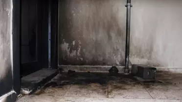 Elektrikli tuzakla suç işleyen serhan kaynar