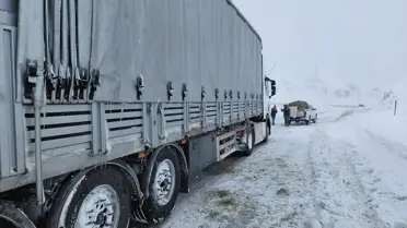 Kurtarılan büyükbaş hayvanların fotoğrafı