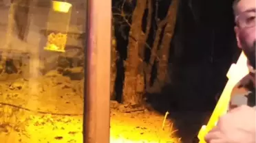 Kartepe'de kar altında tilkiyi besleyen an