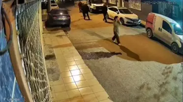 İzmir Bornova’da Kaybolan Mihriban Yılmaz’ın Cesedi Ormanda Bulundu