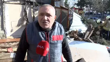 Devri alan çam ağacının detaylı görüntüsü