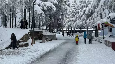 Ordu’da kar yağışıyla kaplanan yollar
