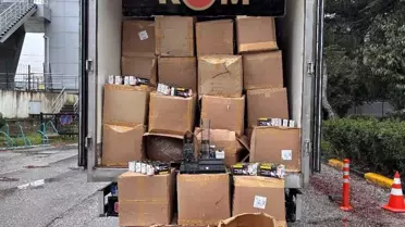 Sakarya'da kaçak tütün toplama sahası