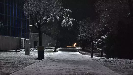 Sakarya'da kar yağışı manzarası