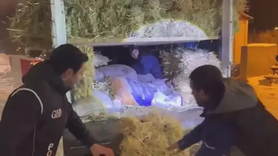 Saman balyaları arasında yakalanan kaçak göçmenler