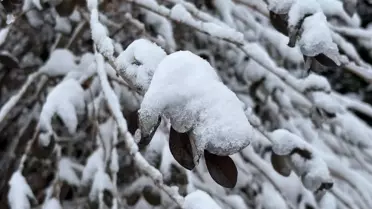 Sivas sokaklarında kar birikintileri