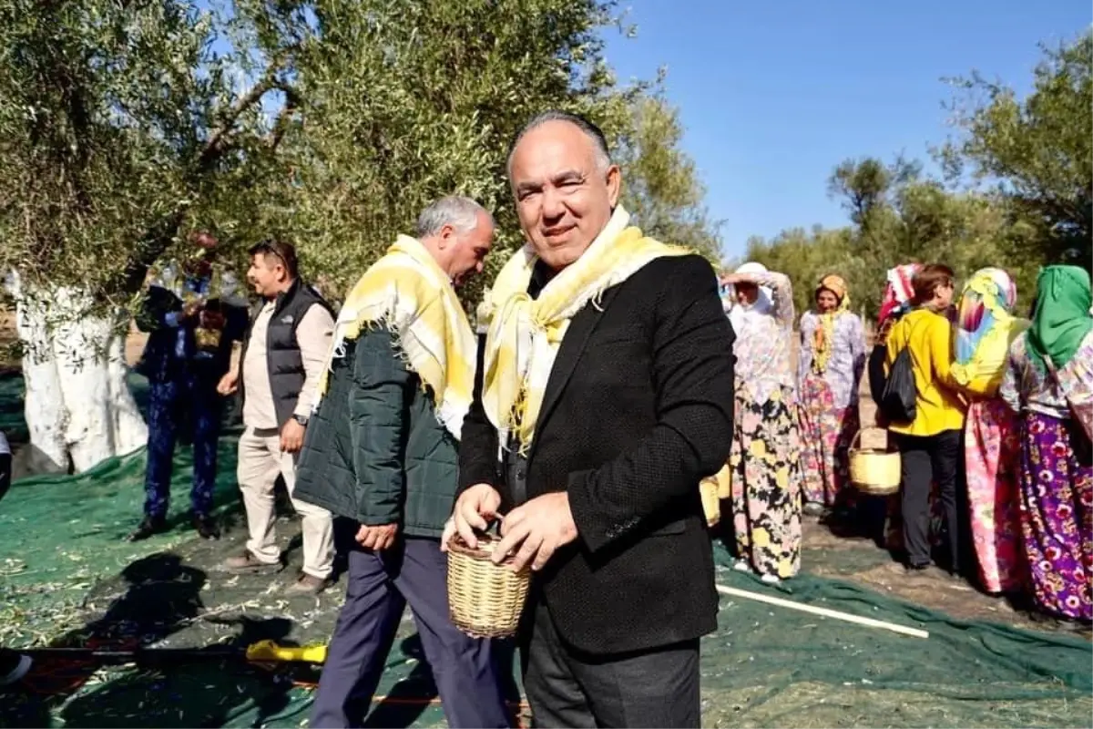 Ayvalık Zeytinyağı Markalaşma Stratejileri ve QR Kod Uygulamaları