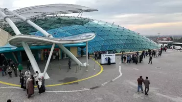 Bahçenin tropikal bitki örtüsü ve kelebekler