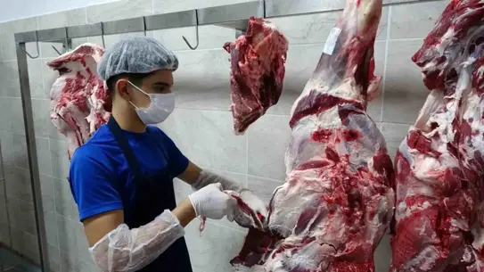 Öğrencilerin hazırladığı yemekler