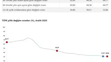 Enflasyon verileri grafiği